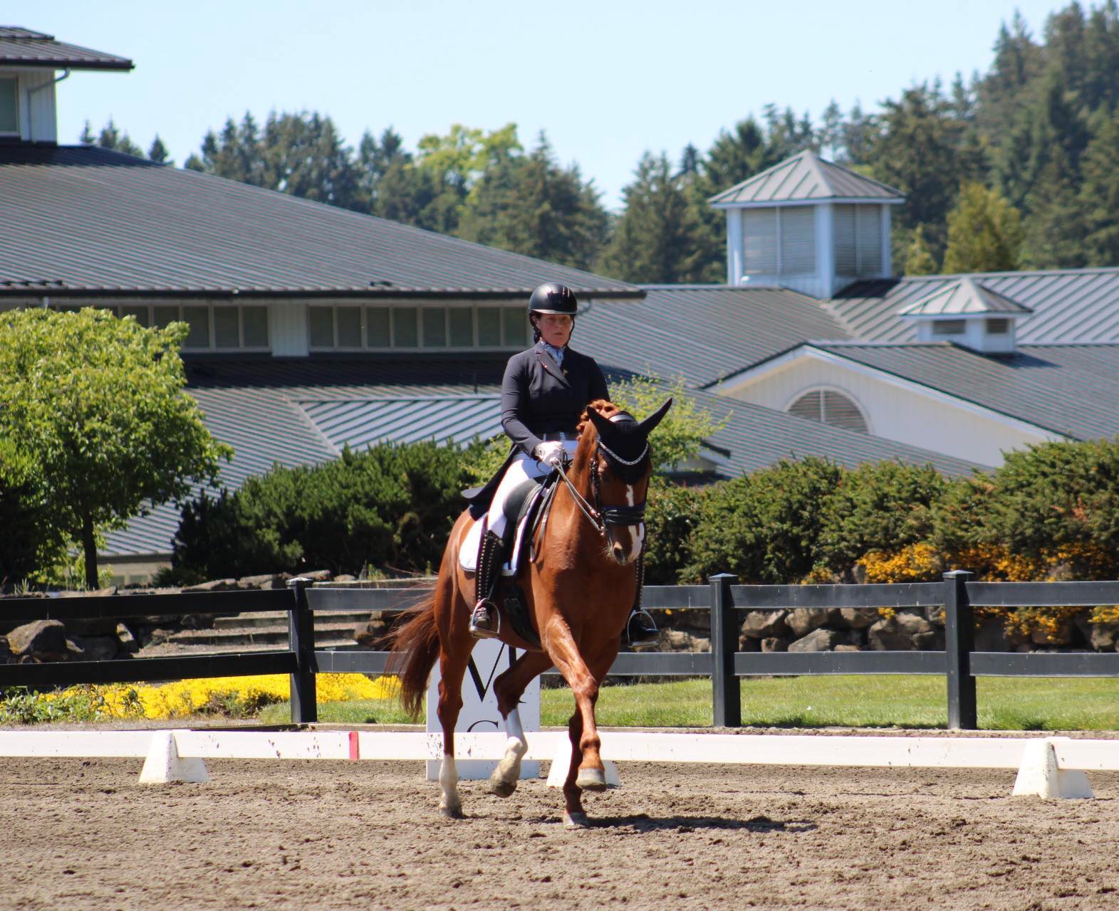 Rider and horse at well-manicured outdoor dressage show