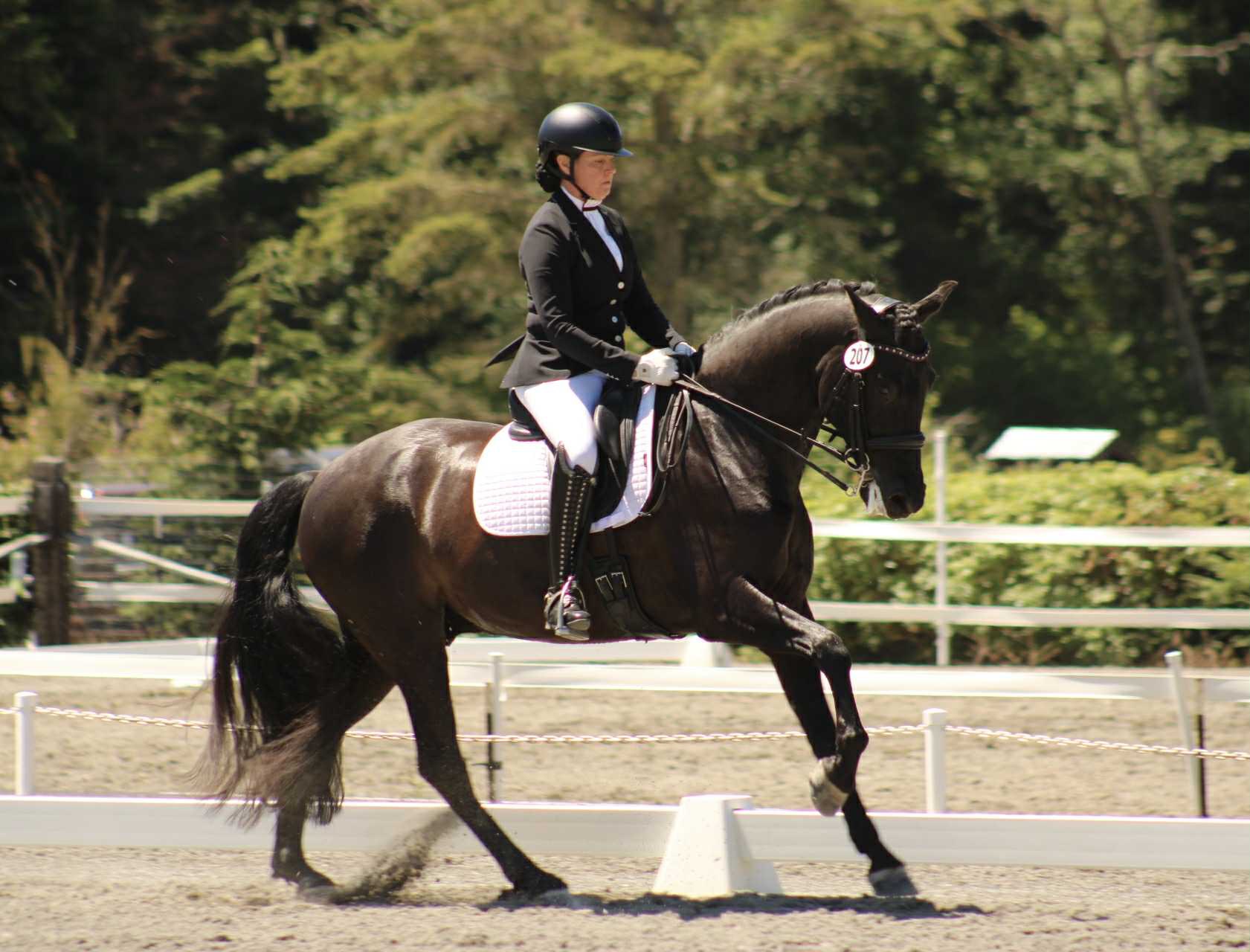 Rider on dark horse performing dressage at outdoor arena
