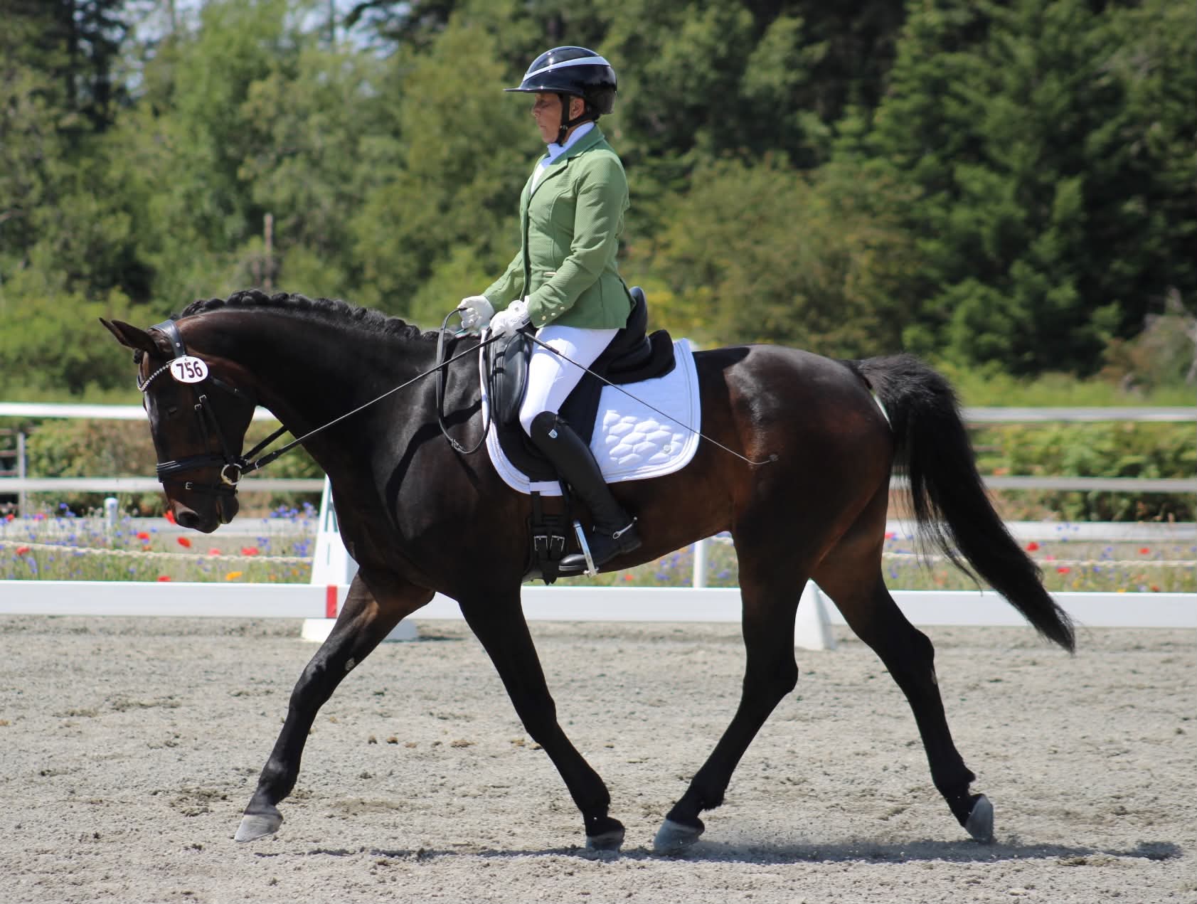 Rider and horse at well-manicured outdoor dressage show